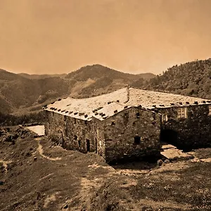Degli Olivi Levanto